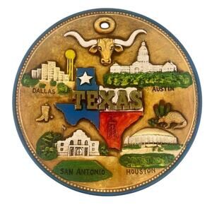 TEXAS Souvenir Wall Plate Longhorn Lone Star Austin Dallas Houston San Antonio